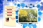 cebu seo